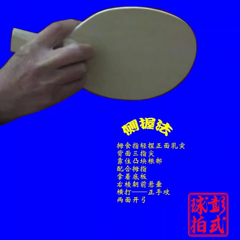 Raquetes de tênis de mesa esti - Table Tennis Xiom avaliação e preço